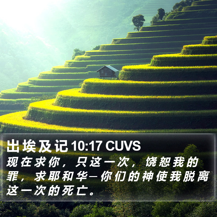 出 埃 及 记 10:17 CUVS Bible Study