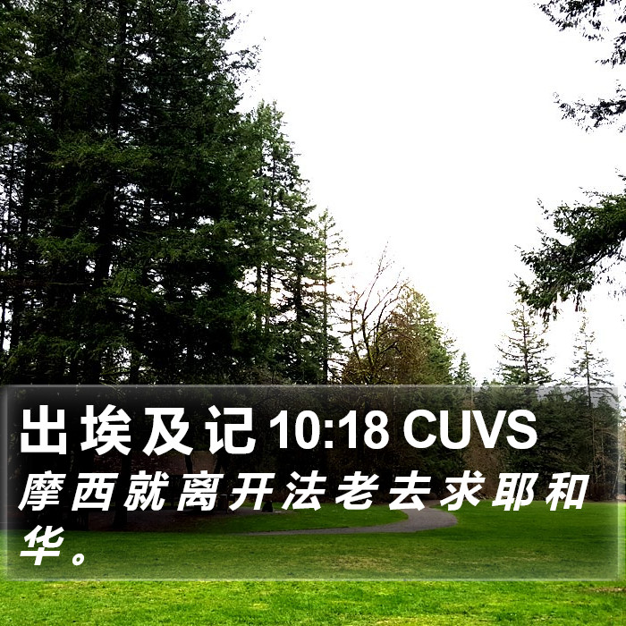 出 埃 及 记 10:18 CUVS Bible Study