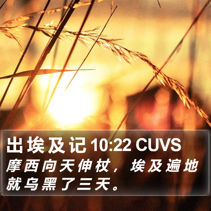 出 埃 及 记 10:22 CUVS Bible Study