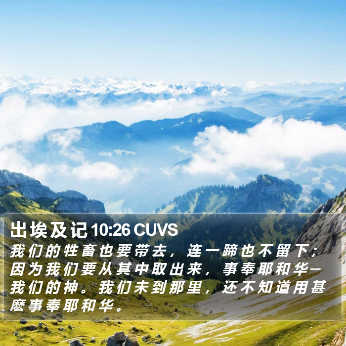 出 埃 及 记 10:26 CUVS Bible Study