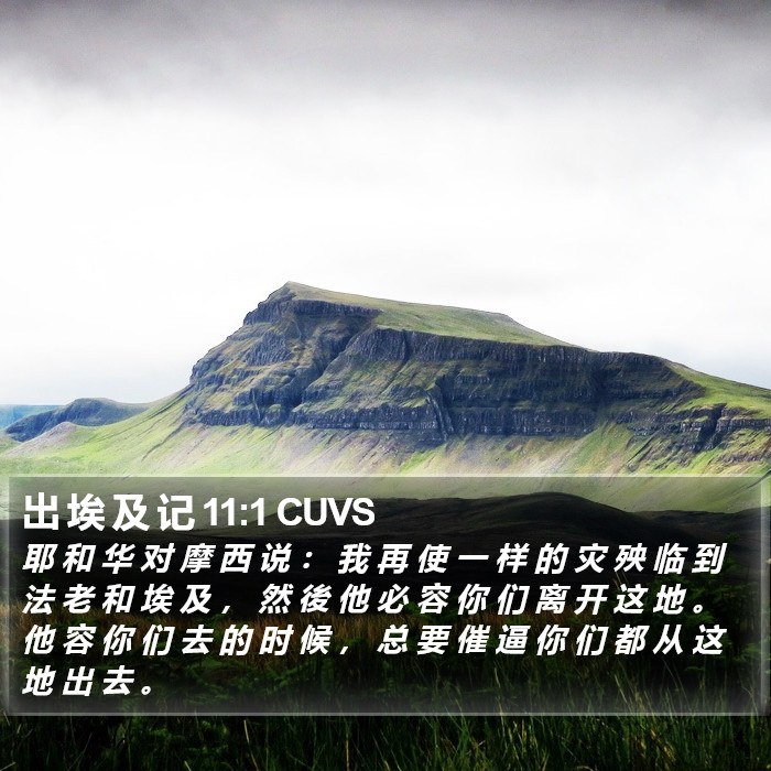 出 埃 及 记 11:1 CUVS Bible Study