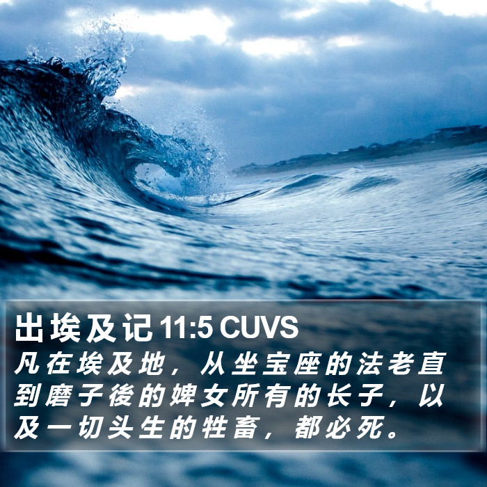 出 埃 及 记 11:5 CUVS Bible Study