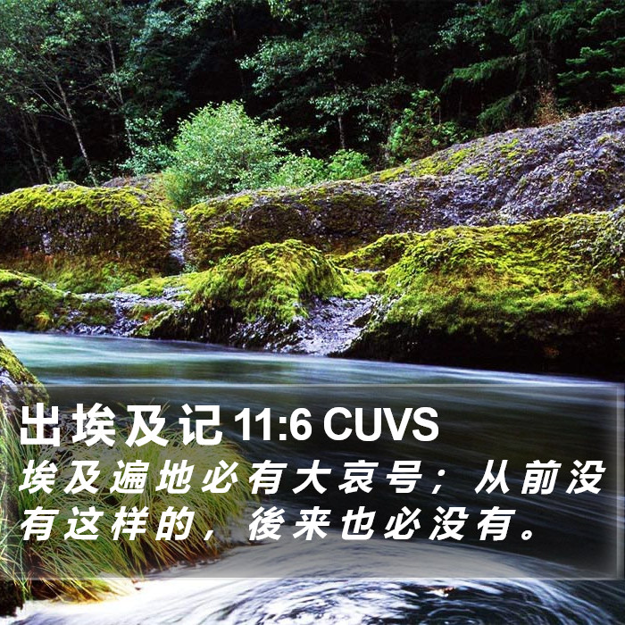 出 埃 及 记 11:6 CUVS Bible Study