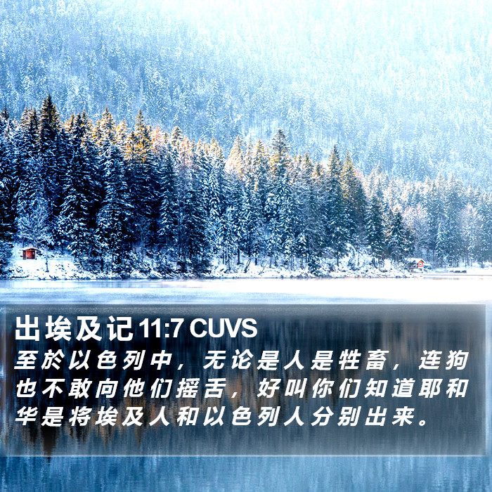 出 埃 及 记 11:7 CUVS Bible Study