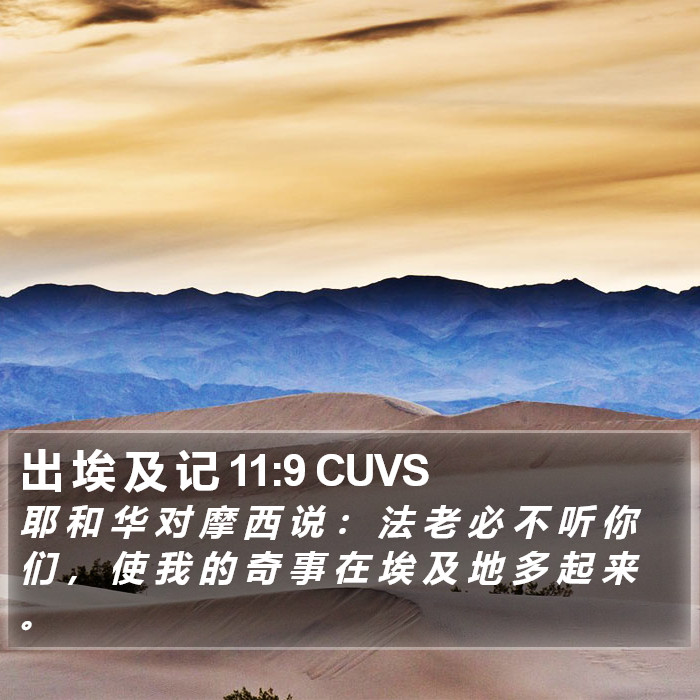 出 埃 及 记 11:9 CUVS Bible Study