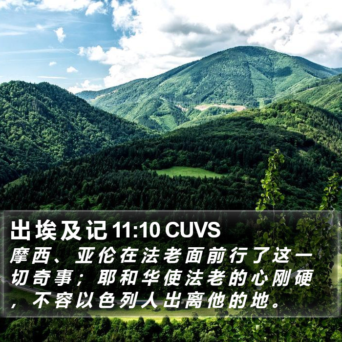 出 埃 及 记 11:10 CUVS Bible Study