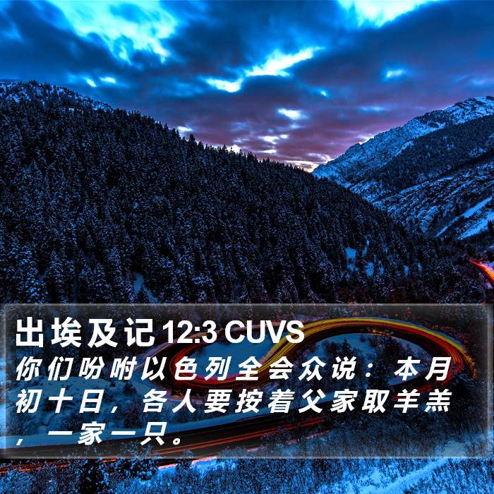 出 埃 及 记 12:3 CUVS Bible Study
