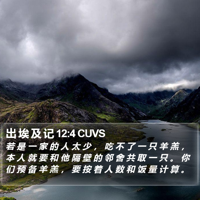 出 埃 及 记 12:4 CUVS Bible Study