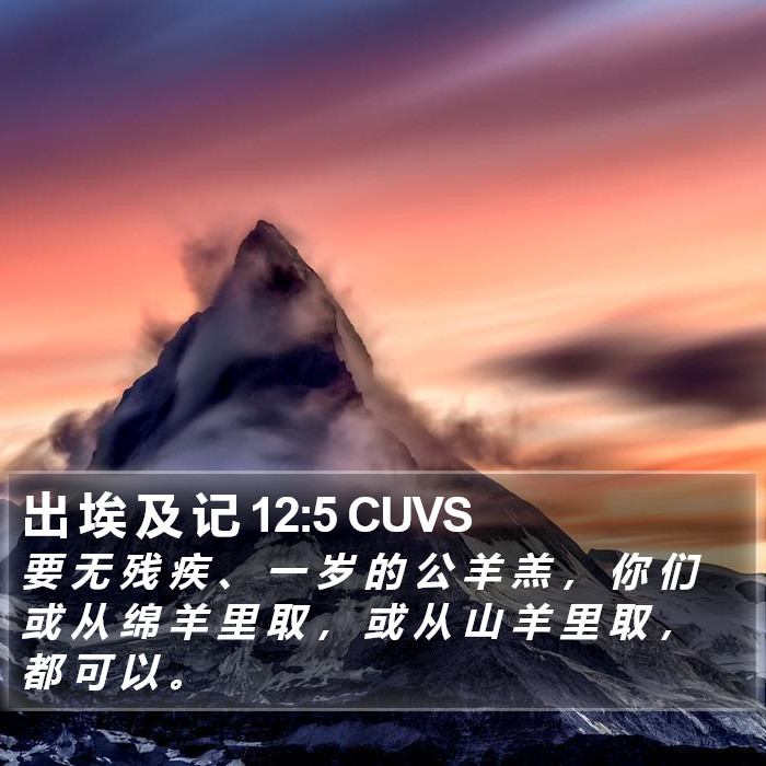 出 埃 及 记 12:5 CUVS Bible Study