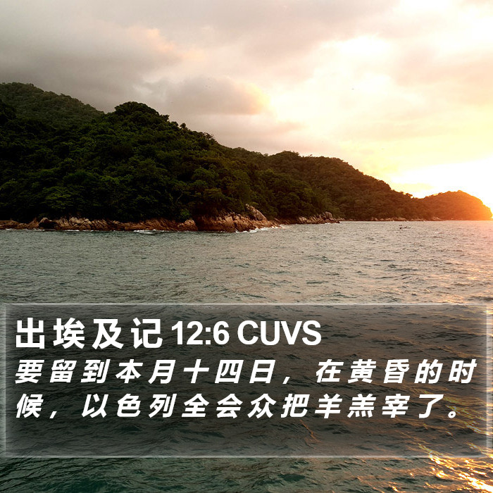 出 埃 及 记 12:6 CUVS Bible Study