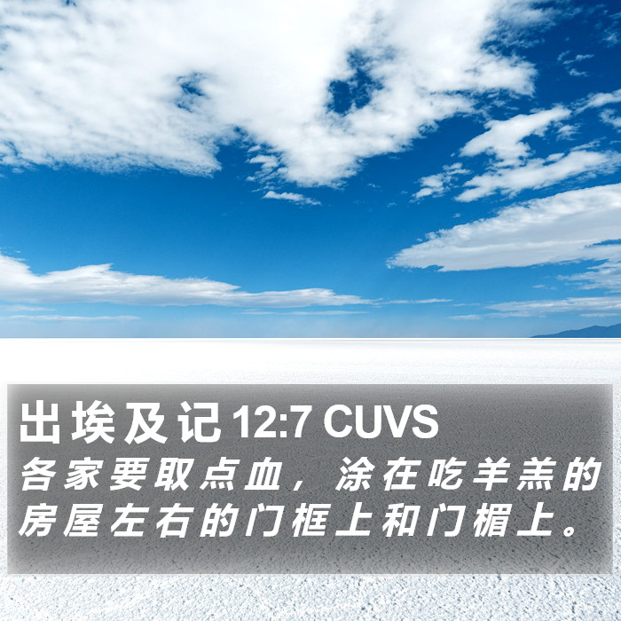 出 埃 及 记 12:7 CUVS Bible Study