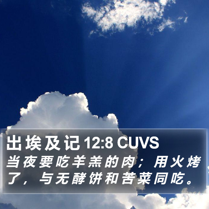 出 埃 及 记 12:8 CUVS Bible Study