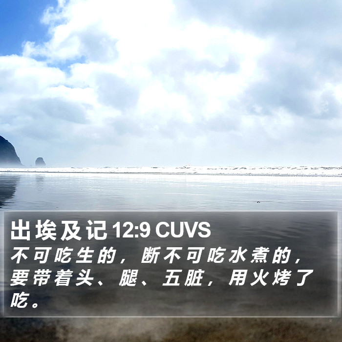 出 埃 及 记 12:9 CUVS Bible Study