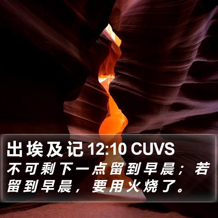 出 埃 及 记 12:10 CUVS Bible Study