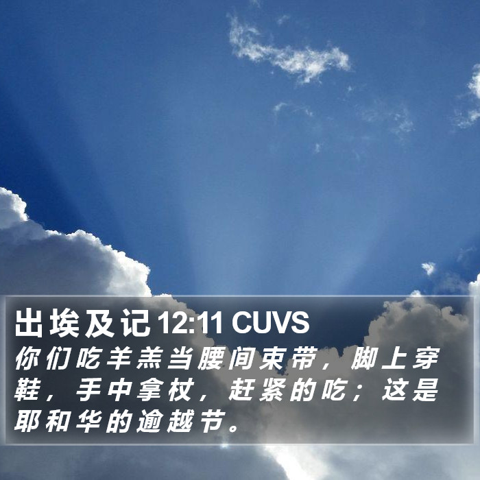 出 埃 及 记 12:11 CUVS Bible Study