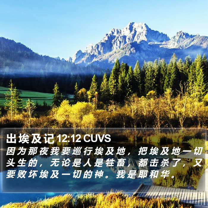 出 埃 及 记 12:12 CUVS Bible Study