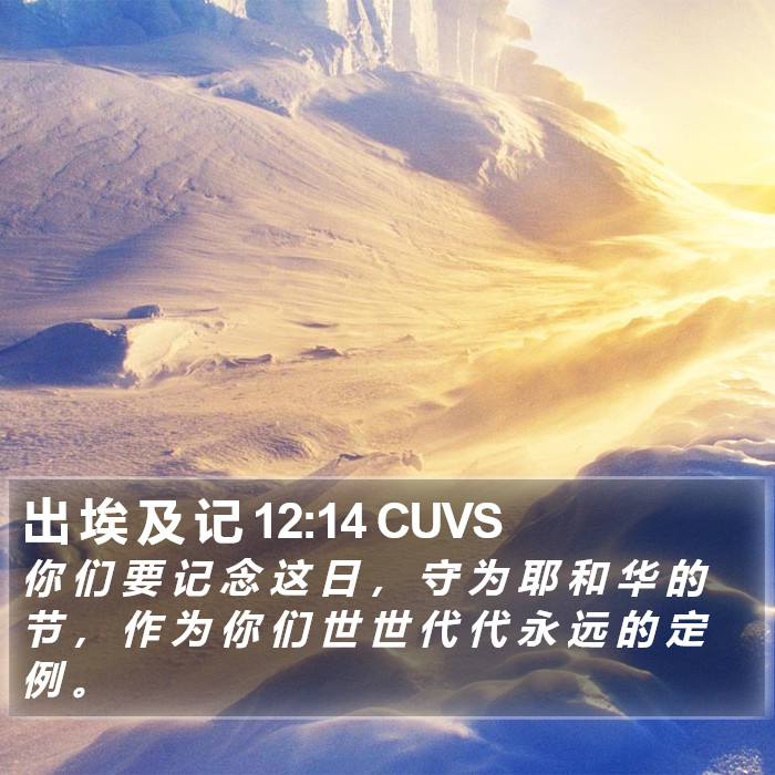 出 埃 及 记 12:14 CUVS Bible Study