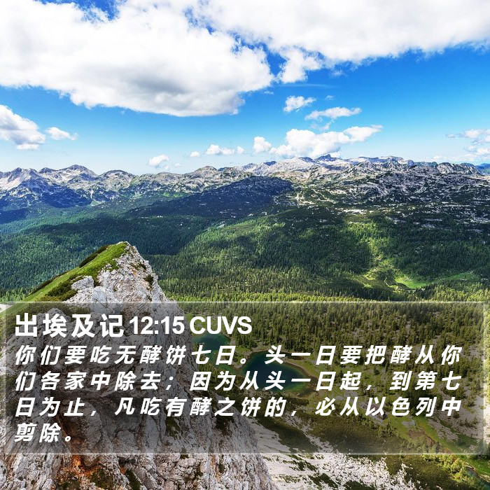 出 埃 及 记 12:15 CUVS Bible Study