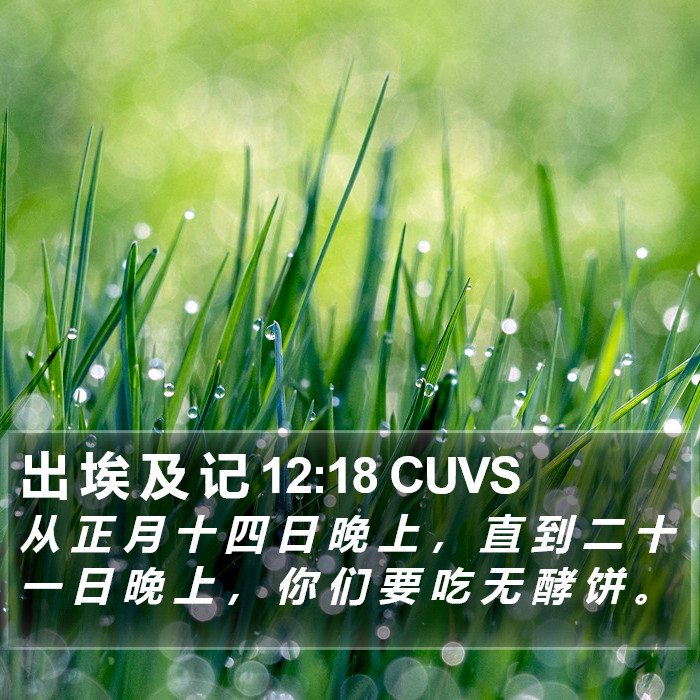 出 埃 及 记 12:18 CUVS Bible Study