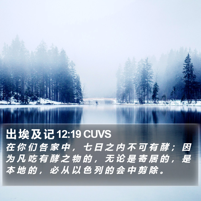 出 埃 及 记 12:19 CUVS Bible Study