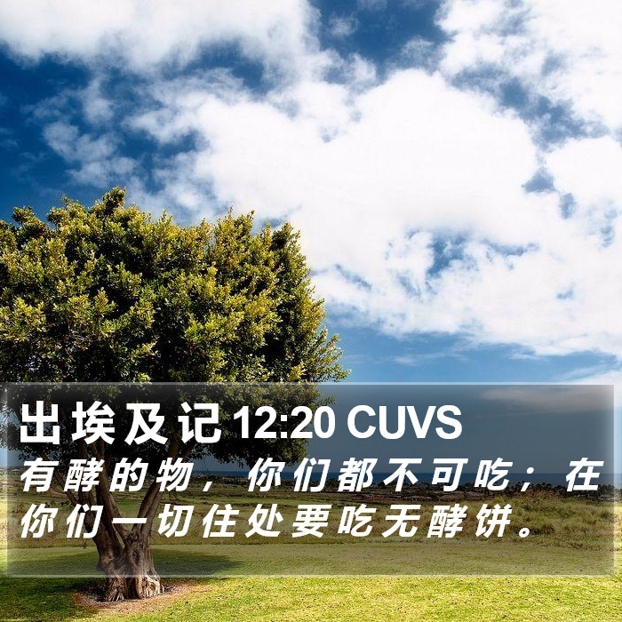 出 埃 及 记 12:20 CUVS Bible Study