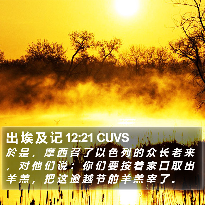 出 埃 及 记 12:21 CUVS Bible Study