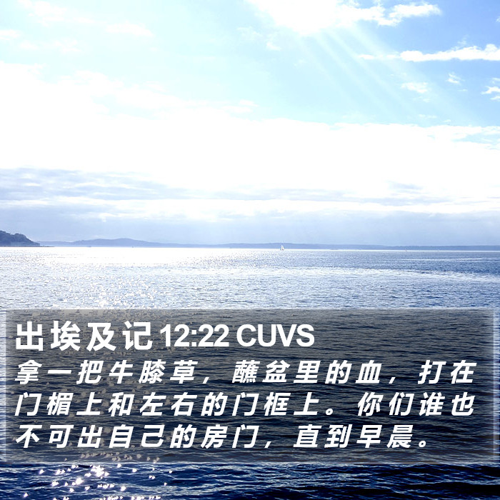 出 埃 及 记 12:22 CUVS Bible Study