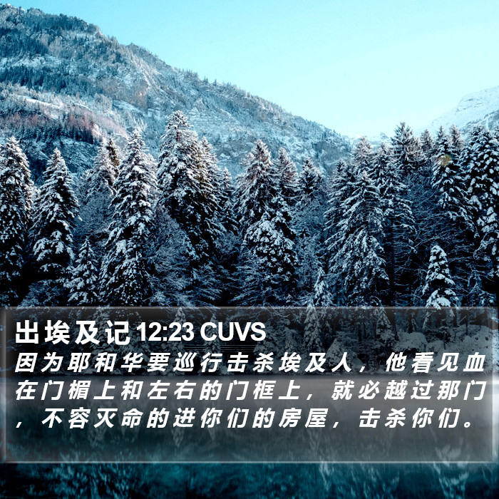 出 埃 及 记 12:23 CUVS Bible Study