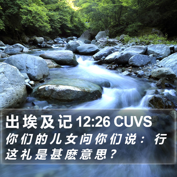 出 埃 及 记 12:26 CUVS Bible Study