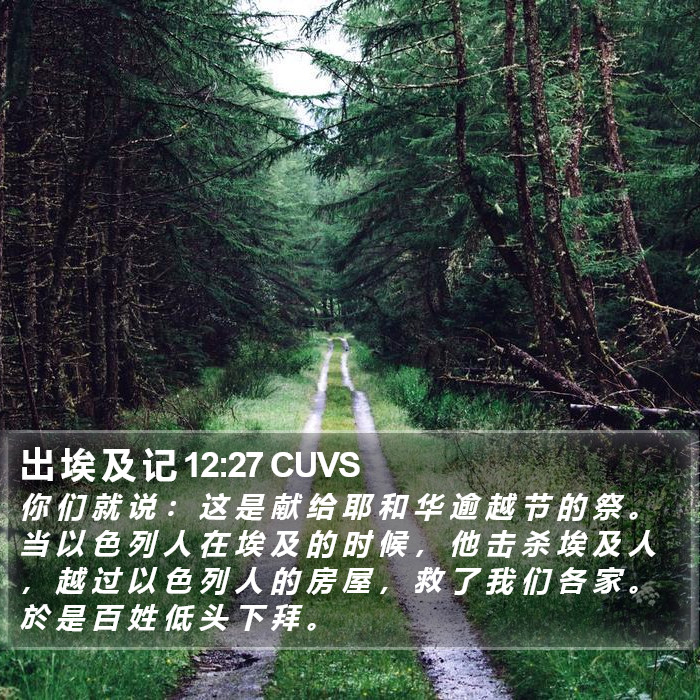 出 埃 及 记 12:27 CUVS Bible Study