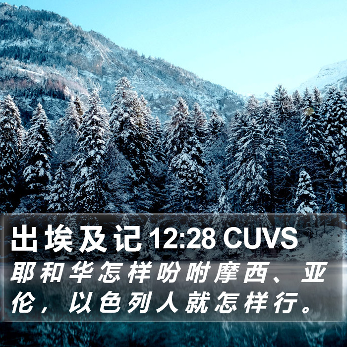 出 埃 及 记 12:28 CUVS Bible Study