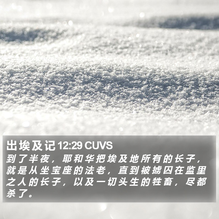 出 埃 及 记 12:29 CUVS Bible Study