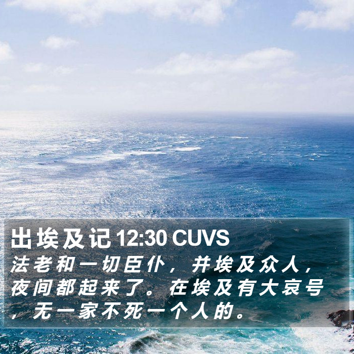 出 埃 及 记 12:30 CUVS Bible Study