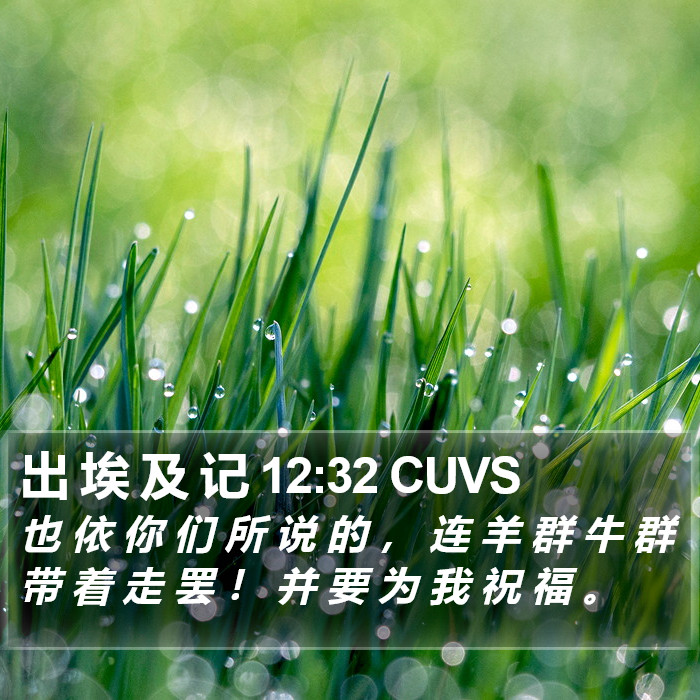 出 埃 及 记 12:32 CUVS Bible Study