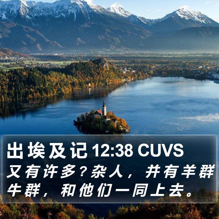 出 埃 及 记 12:38 CUVS Bible Study
