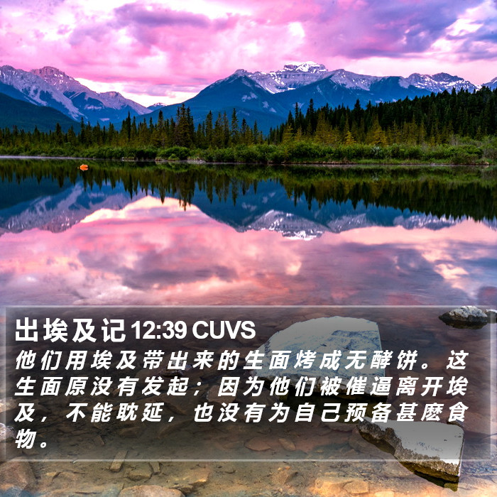 出 埃 及 记 12:39 CUVS Bible Study