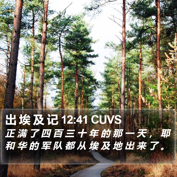 出 埃 及 记 12:41 CUVS Bible Study