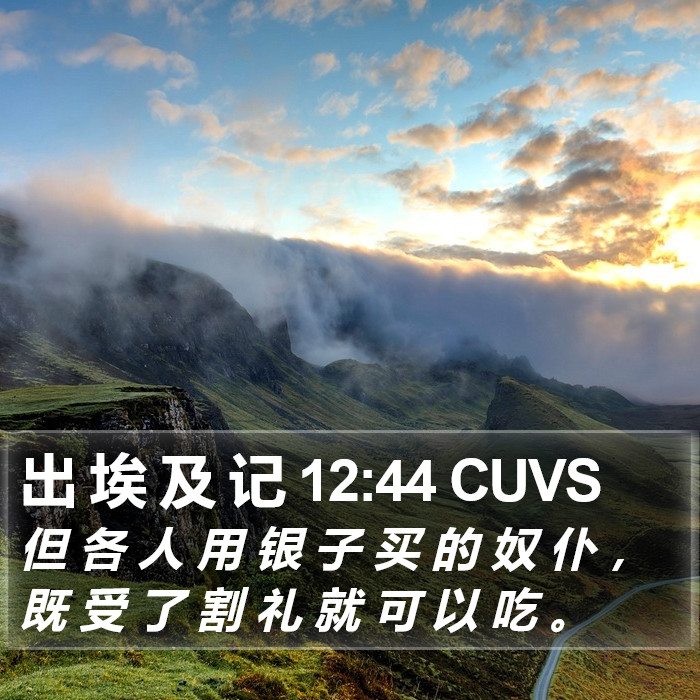 出 埃 及 记 12:44 CUVS Bible Study