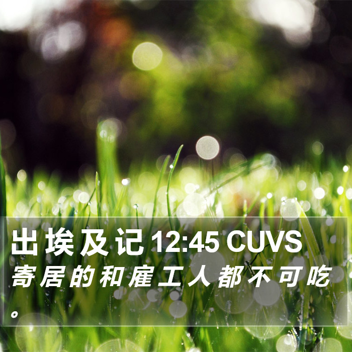 出 埃 及 记 12:45 CUVS Bible Study