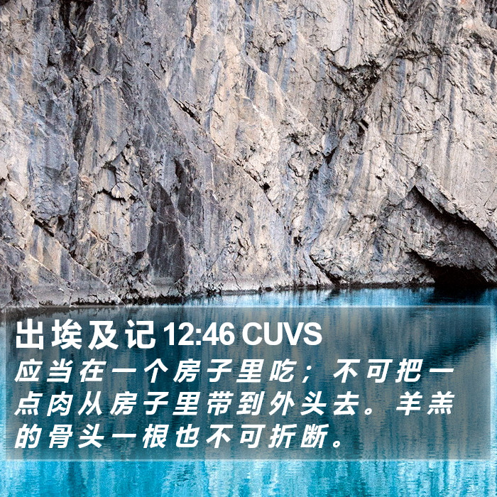 出 埃 及 记 12:46 CUVS Bible Study