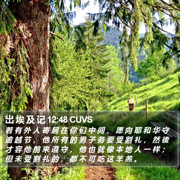 出 埃 及 记 12:48 CUVS Bible Study