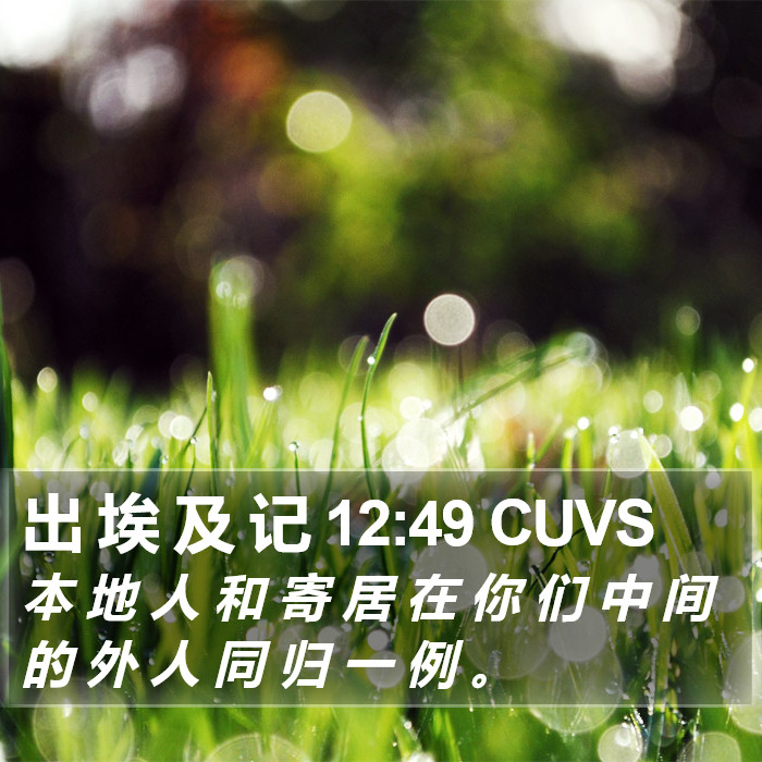 出 埃 及 记 12:49 CUVS Bible Study