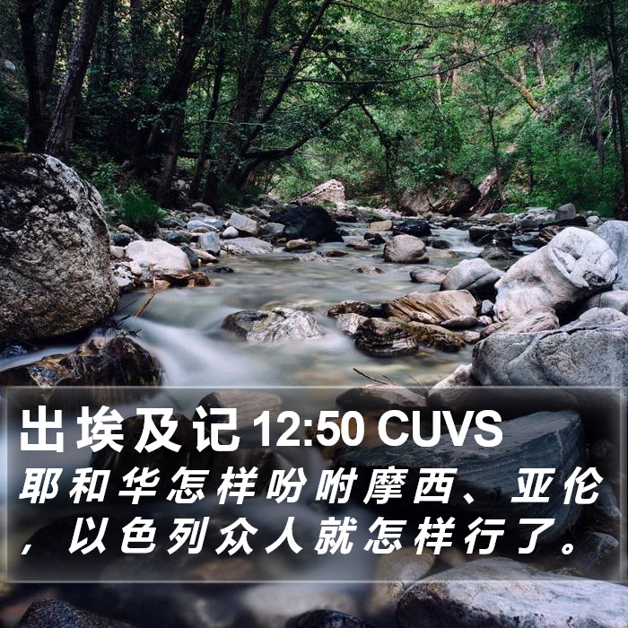 出 埃 及 记 12:50 CUVS Bible Study