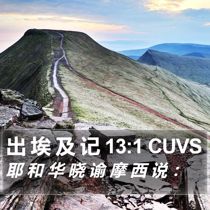 出 埃 及 记 13:1 CUVS Bible Study