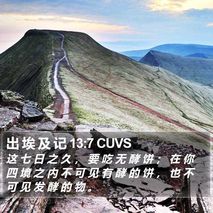 出 埃 及 记 13:7 CUVS Bible Study
