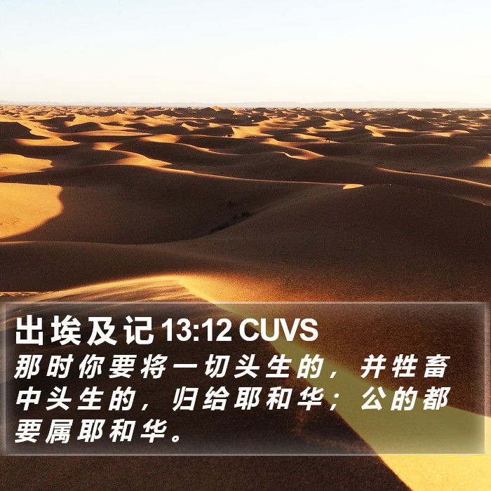 出 埃 及 记 13:12 CUVS Bible Study