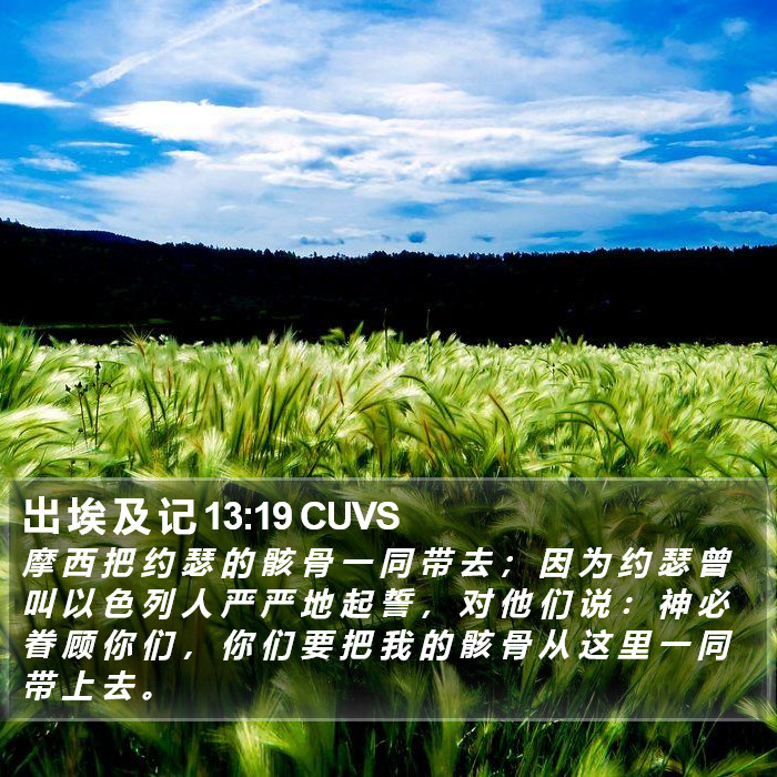 出 埃 及 记 13:19 CUVS Bible Study