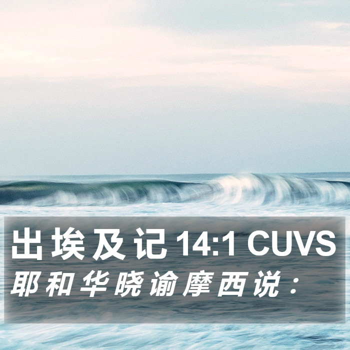 出 埃 及 记 14:1 CUVS Bible Study