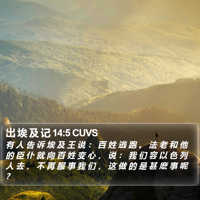 出 埃 及 记 14:5 CUVS Bible Study