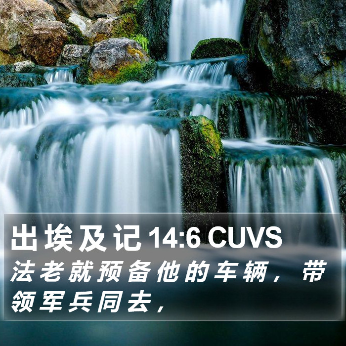 出 埃 及 记 14:6 CUVS Bible Study